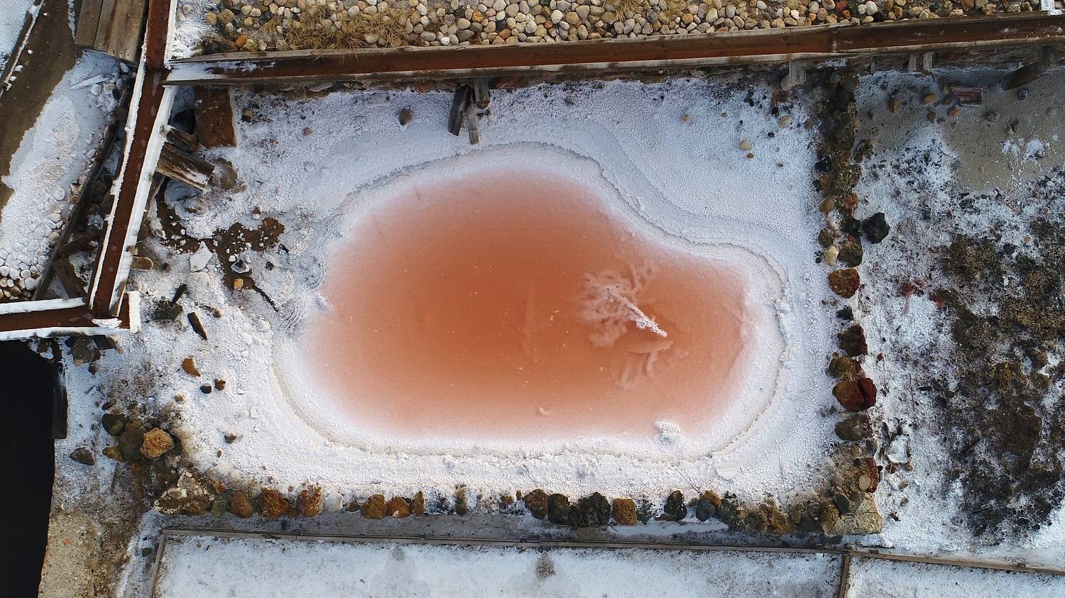 Dunaliella|HTB1ljv.LVXXXXawapXXq6xXFXXXL|Producción de sal 01_preview